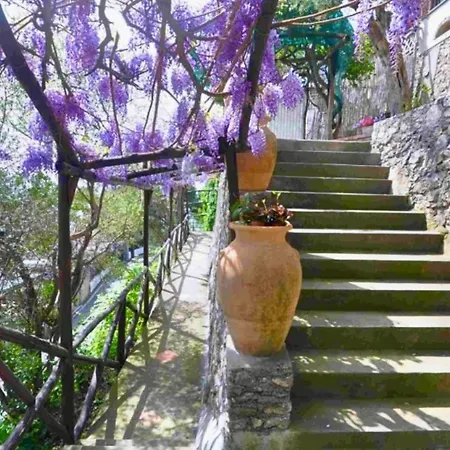 Starfish House Villa