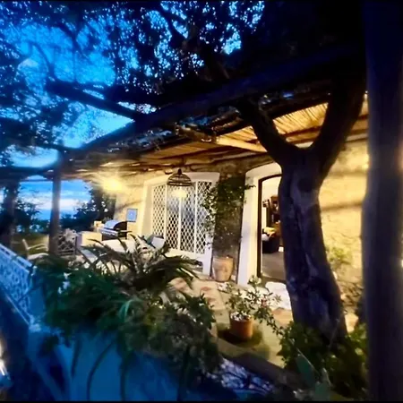 Starfish House *